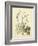 Catesby Bird & Botanical II-Mark Catesby-Framed Art Print