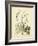 Catesby Bird & Botanical II-Mark Catesby-Framed Art Print