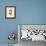 Catesby Bird & Botanical IV-Mark Catesby-Framed Premium Giclee Print displayed on a wall