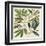 Catesby Leaf Quadrant I-Mark Catesby-Framed Art Print