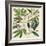 Catesby Leaf Quadrant I-Mark Catesby-Framed Art Print