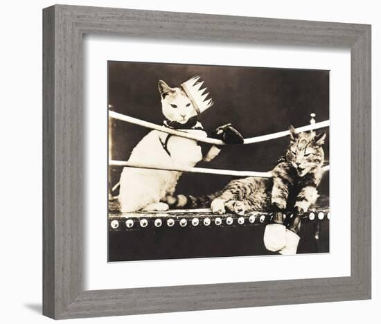 Catfight-null-Framed Art Print