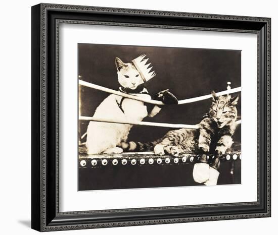 Catfight-null-Framed Art Print