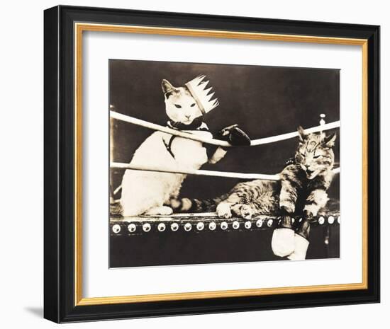 Catfight-null-Framed Art Print