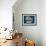 Catfish Wienerdog-Steven Wilson-Framed Giclee Print displayed on a wall