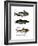 Catfish-null-Framed Giclee Print