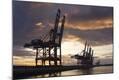 Photographic Print