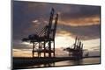 Photographic Print