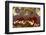 Cathedral Agate-Darrell Gulin-Framed Photographic Print