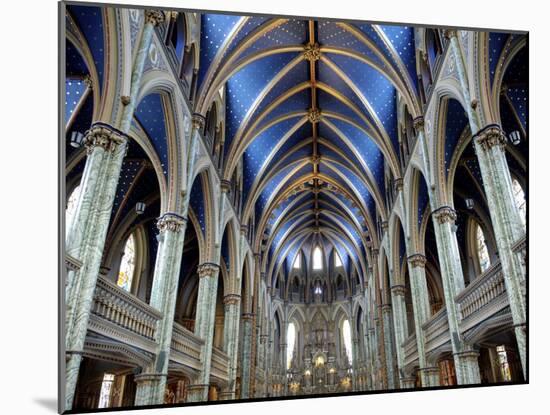 Cathedral and Basilica of Notre Dame Built Between 1839 and 1885, Ottawa, Ontario, Canada-De Mann Jean-Pierre-Mounted Photographic Print