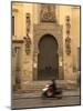 Cathedral at Seville, Sevilla Province, Andalucia, Spain-Demetrio Carrasco-Mounted Photographic Print