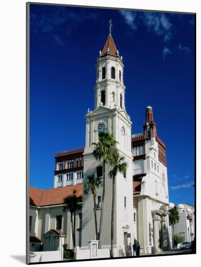 Cathedral Basilica, St. Augustine, Florida, USA-null-Mounted Photographic Print