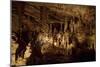 Cathedral Caverns, Scottsboro, Alabama-Carol Highsmith-Mounted Art Print