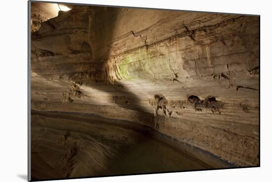 Cathedral Caverns, Scottsboro, Alabama-Carol Highsmith-Mounted Art Print