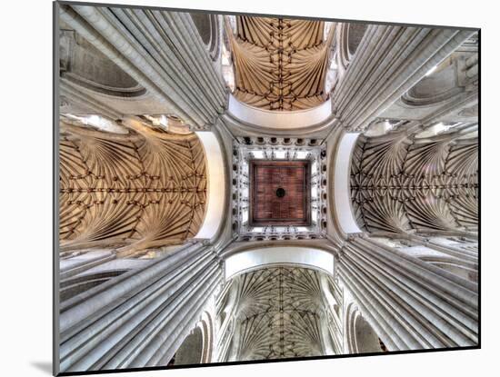 Cathedral Church of the Holy and Undivided Trinity, Norwich, Norfolk, East England, UK-Ivan Vdovin-Mounted Photographic Print