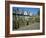 Cathedral Close, Norwich, Norfolk, England, United Kingdom, Europe-Hunter David-Framed Photographic Print