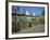 Cathedral Close, Norwich, Norfolk, England, United Kingdom, Europe-Hunter David-Framed Photographic Print