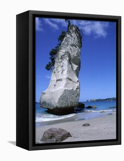 Cathedral Cove, Coromandel Peninsula, South Auckland, North Island, New Zealand-Neale Clarke-Framed Premier Image Canvas