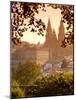 Cathedral de Santiago de Compostela, Santiago de Compostela, Galicia, Spain-Alan Copson-Mounted Photographic Print