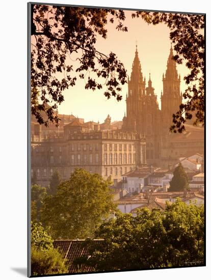 Cathedral de Santiago de Compostela, Santiago de Compostela, Galicia, Spain-Alan Copson-Mounted Photographic Print