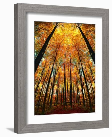 Cathedral Fall-Philippe Sainte-Laudy-Framed Photographic Print