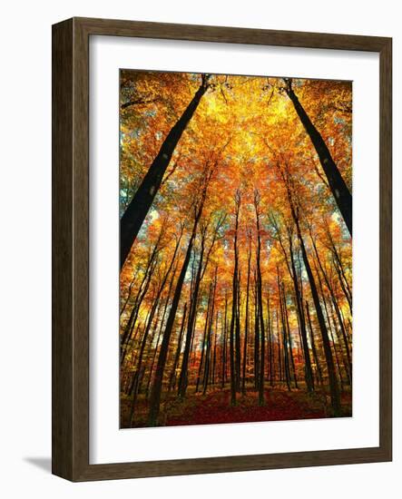 Cathedral Fall-Philippe Sainte-Laudy-Framed Photographic Print