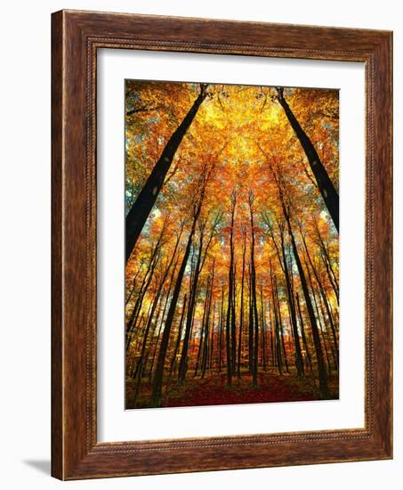 Cathedral Fall-Philippe Sainte-Laudy-Framed Photographic Print