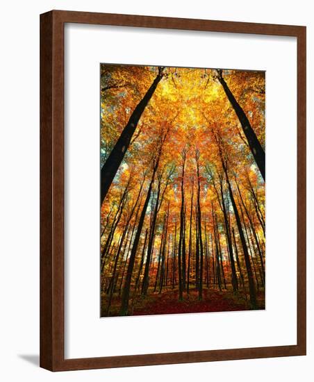 Cathedral Fall-Philippe Sainte-Laudy-Framed Photographic Print