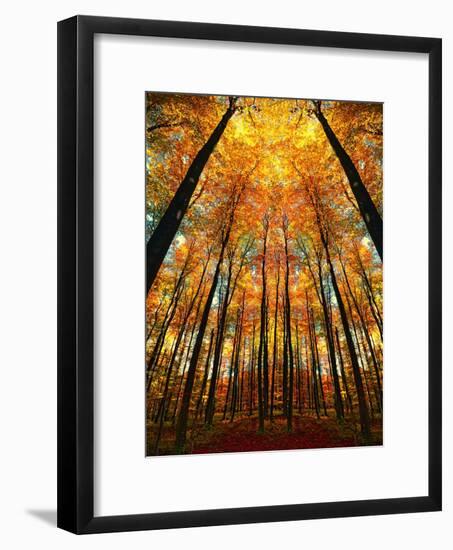 Cathedral Fall-Philippe Sainte-Laudy-Framed Photographic Print