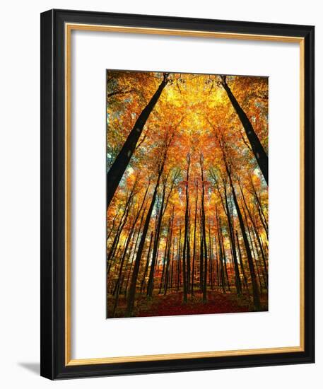 Cathedral Fall-Philippe Sainte-Laudy-Framed Photographic Print