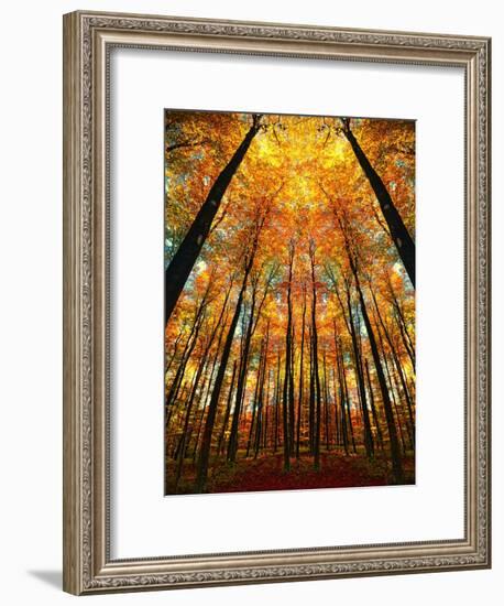 Cathedral Fall-Philippe Sainte-Laudy-Framed Photographic Print