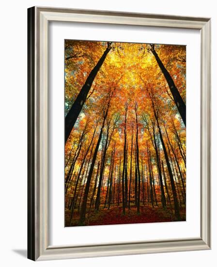 Cathedral Fall-Philippe Sainte-Laudy-Framed Photographic Print