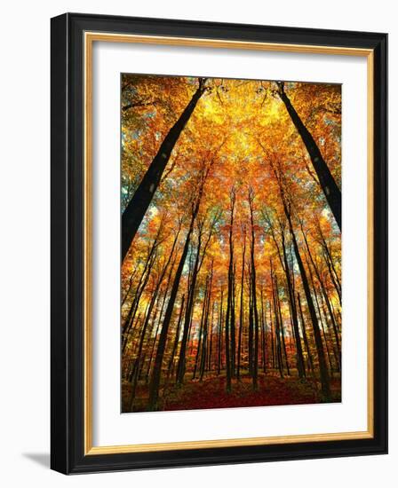 Cathedral Fall-Philippe Sainte-Laudy-Framed Photographic Print