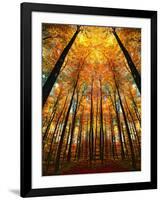 Cathedral Fall-Philippe Sainte-Laudy-Framed Photographic Print