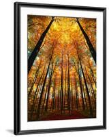 Cathedral Fall-Philippe Sainte-Laudy-Framed Photographic Print
