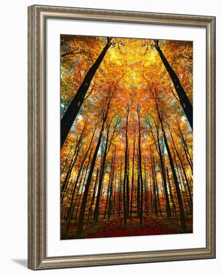 Cathedral Fall-Philippe Sainte-Laudy-Framed Photographic Print