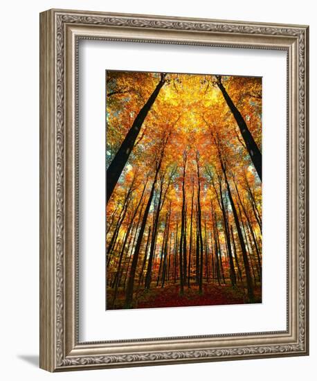 Cathedral Fall-Philippe Sainte-Laudy-Framed Premium Photographic Print