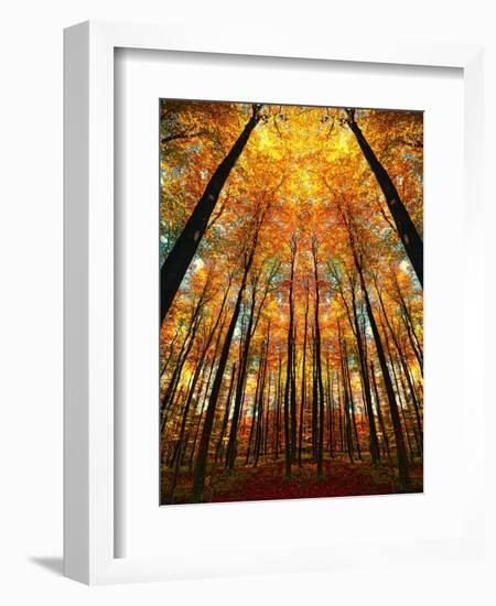 Cathedral Fall-Philippe Sainte-Laudy-Framed Premium Photographic Print