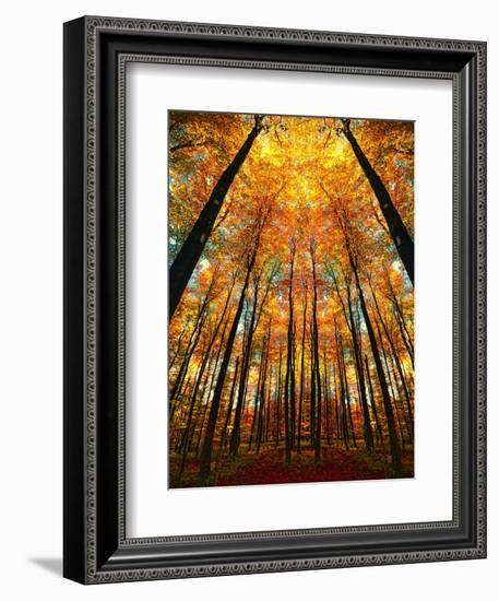 Cathedral Fall-Philippe Sainte-Laudy-Framed Premium Photographic Print