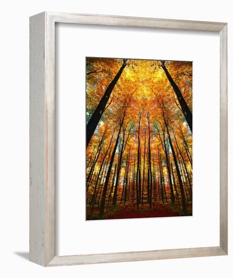 Cathedral Fall-Philippe Sainte-Laudy-Framed Premium Photographic Print