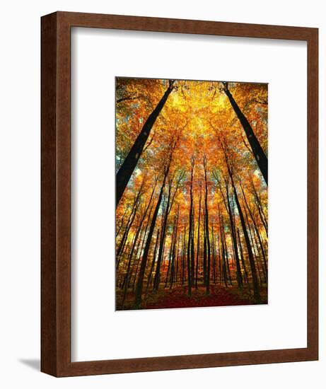 Cathedral Fall-Philippe Sainte-Laudy-Framed Photographic Print