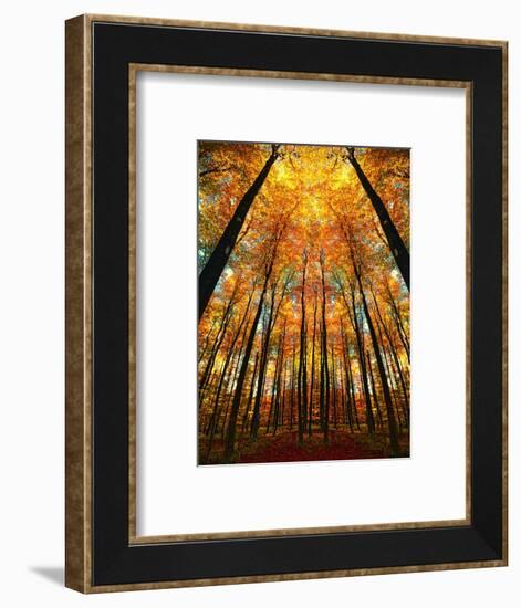 Cathedral Fall-Philippe Sainte-Laudy-Framed Photographic Print