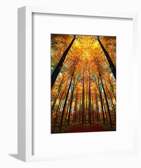 Cathedral Fall-Philippe Sainte-Laudy-Framed Photographic Print