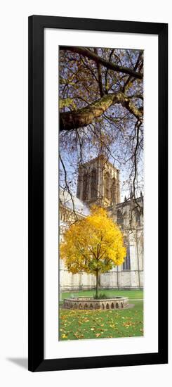 Cathedral in Autumn, York Minster, York, North Yorkshire, England-null-Framed Photographic Print