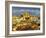 Cathedral La Seu and Old Town Rooftops, Palma De Mallorca, Mallorca, Balearic Islands, Spain-Doug Pearson-Framed Photographic Print