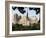 Cathedral of Notre Dame, Paris, France-Adam Woolfitt-Framed Photographic Print