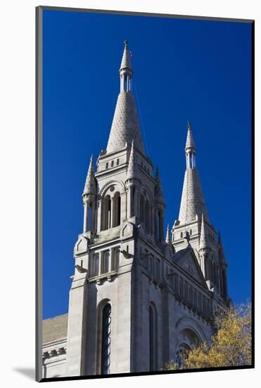 Cathedral of St Joseph, Sioux Falls, South Dakota, USA-Walter Bibikow-Mounted Photographic Print