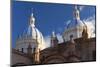 Cathedral of the Immaculate Conception, Built in 1885, Cuenca, Ecuador-Peter Adams-Mounted Photographic Print