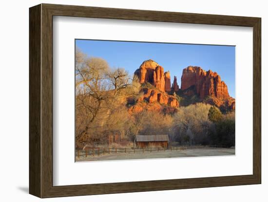 Cathedral Rock at Red Rock Crossing, Sedona, Arizona, United States of America, North America-Richard Cummins-Framed Photographic Print