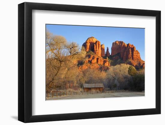 Cathedral Rock at Red Rock Crossing, Sedona, Arizona, United States of America, North America-Richard Cummins-Framed Photographic Print